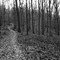 The Cushetunk Trail