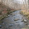 Rockaway Creek from Rockaway Road