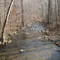 Rockaway Creek from Rockaway Road