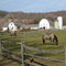 Horse farm on Rockaway Rd - Hill & Dale