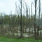 Marsh off 90