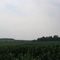 Rolling farmland outside Baldwinsville, NY