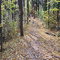 bikepath2