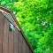Eave