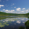 Labrador Pond