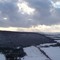 fields