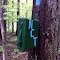 FLT O2 1.5 mi - Register on W side of Highland Forest