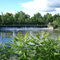 Dam at Swifts Landing Park