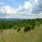 Dover Plains, NY: Nellie Hill Preserve