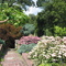 Innis Free Garden