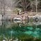 Fern Glen Pond