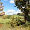 thornes fields early fall