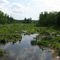 Arnold Brook