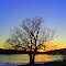 Saranac River sunset at Cadyville, NY, feb 19, 2012