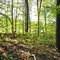 Hickory Hill Park