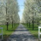 New Milford (Warwick) NY