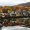                                                                                                                                                                    (EXPAND)                                                                                                                MAY  THE BEAUTY  of  AUTUMN  reach every little corner of the   WORLD!!!!!!!!!!!!!!!!