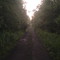 Old Railroad Bed