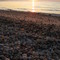 Gerard Drive Pebbles & Sunrise