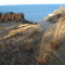 Cedar Point Bluffs & Gardiner's Bay