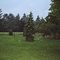 Allenwood Park