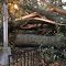 Sandy was destructive!