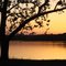 Sunset at Leisure Shores