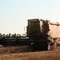 Ozarks Wheat Harvest