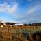Ohio Farmland North Lima 2