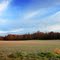 Ohio Farmland North Lima 3