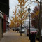 Downtown Gallipolis