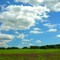 Summer Day