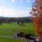 Dinsmore Golf Course