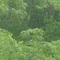 West-NorthWest in Summer