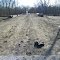 New bike trail connecting Lunken trail with Armleder park.