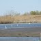 Bird sanctuary on the Woodtick Peninsula tip