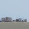 Turtle Island Light and abandoned houses