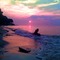 Gull Picnic at Sunset ~ Bay Village ~ Columbia Park Beach