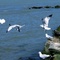 Lake Erie