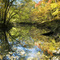 Salt Lick Creek, Lake Katherine State Nature Preserve