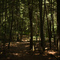 Salt Creek Trail - Lake Katherine State Nature Preserve