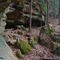 Leo Petroglyph Gorge