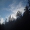 sunrise and fog on logging road near Old Baldy