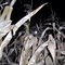 Muddy Creek Corn Maze