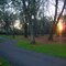 Sunset in Willamette Park