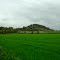 Pigeon Butte