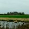 Cheadle Barn