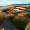 florence oregon dunes