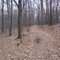 Horse-Shoe Trail on Governor Dick