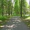 Albert E Winkler Jacob Snyder Nature Trail
